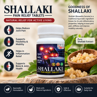 Shalaki Pain Relief Tablets – 30 Tablets